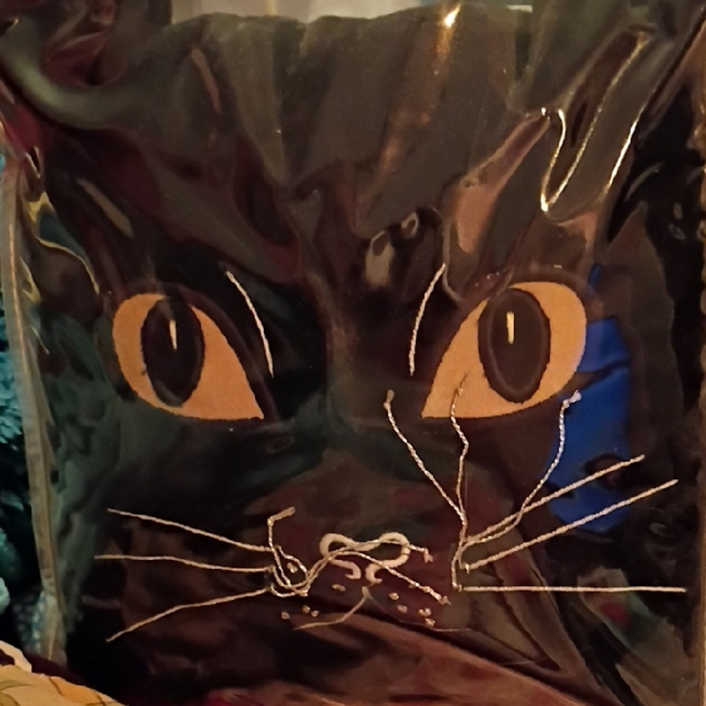 Black Cat Pillow Black Velvet